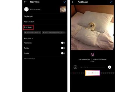 Can You Add Music to Instagram Posts? A Detailed Exploration of the Feature